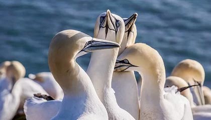 开云网页版登录入口-国际热身赛中国女足爆冷 技术问题引发关注，国足热身赛比赛结果